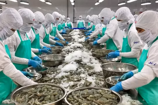 Minh Hải Jostoco (JOS) lỗ gần 9 tỷ đồng nửa đầu năm, cổ phiếu trở lại diện cảnh báo