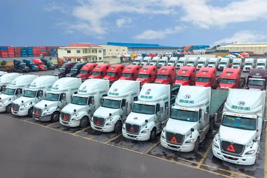 Leadvisors bán gần 30 triệu cổ phiếu Viconship (VSC) sau hơn hai tháng trở thành cổ đông lớn