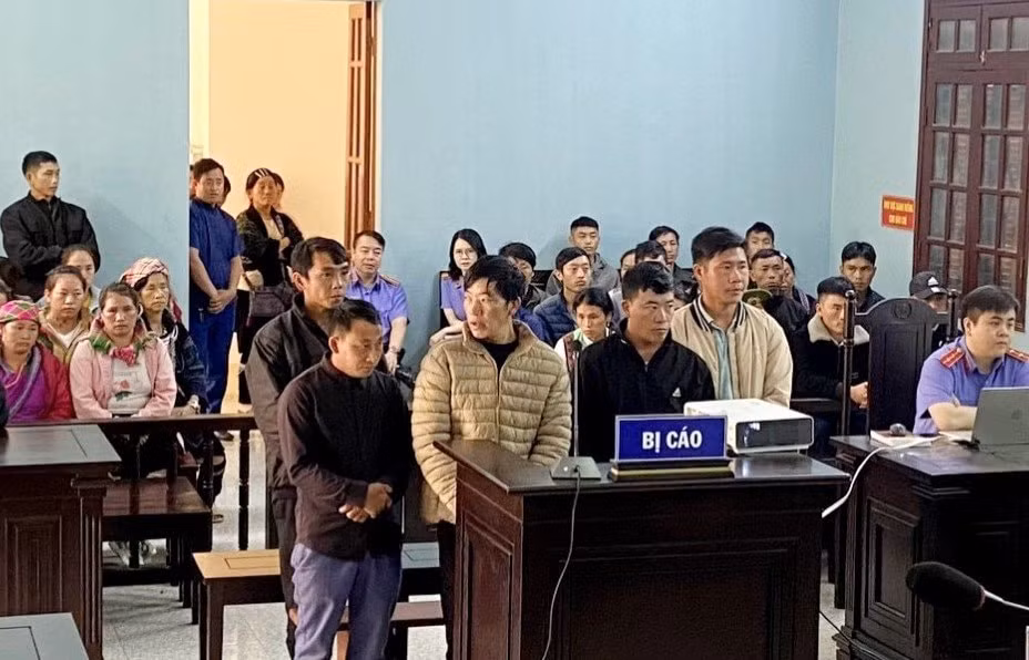 lao cai khai thac go trai phep trong vuon quoc gia 5 doi tuong bi phat tu hinh 1
