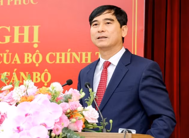 phe chuan ket qua bau truong doan dai bieu quoc hoi tinh vinh phuc hinh 1