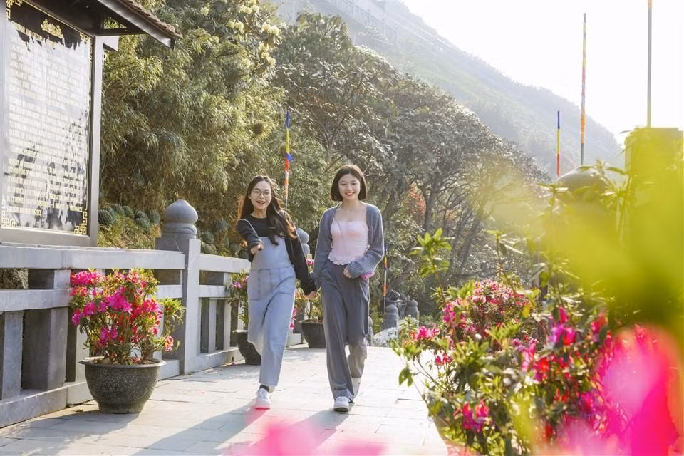 duong hoa do quyen tren dinh fansipan dep tua chon thien duong hut hang nghin luot khach check in hinh 5