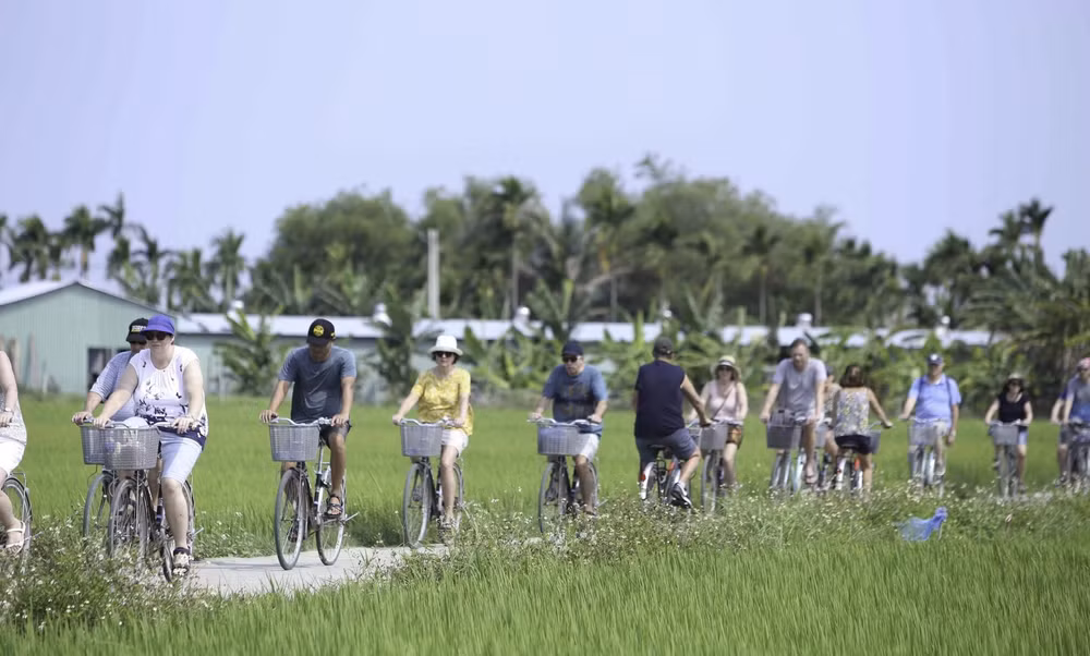 quang nam kich cau du lich bang goi uu dai gan 10 ti dong hinh 2