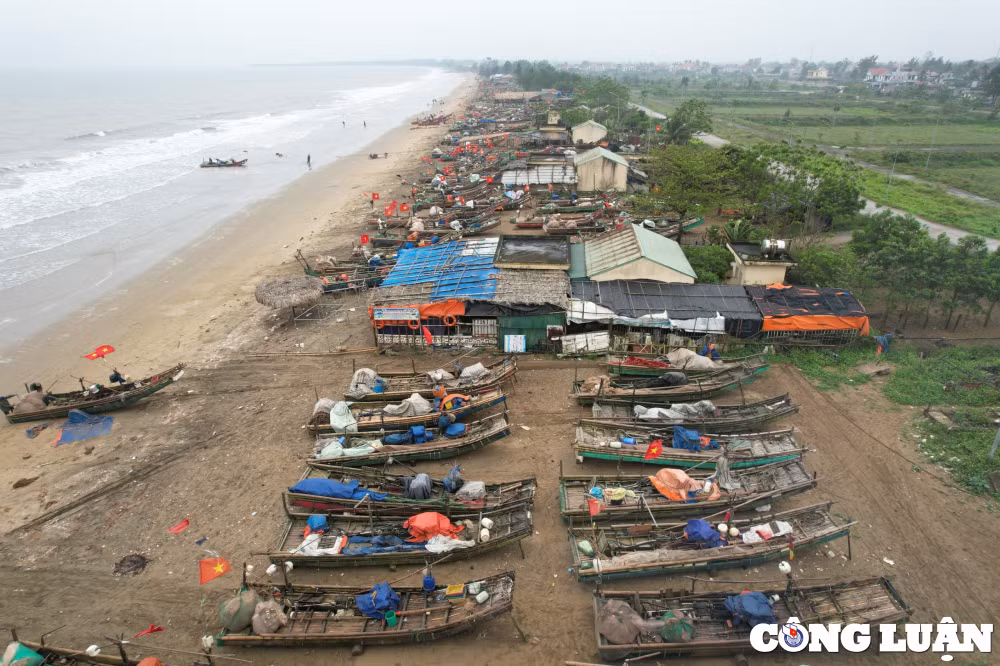 thanh hoa ngu dan phan khoi khi sua bien vao mua duoc gia hinh 1