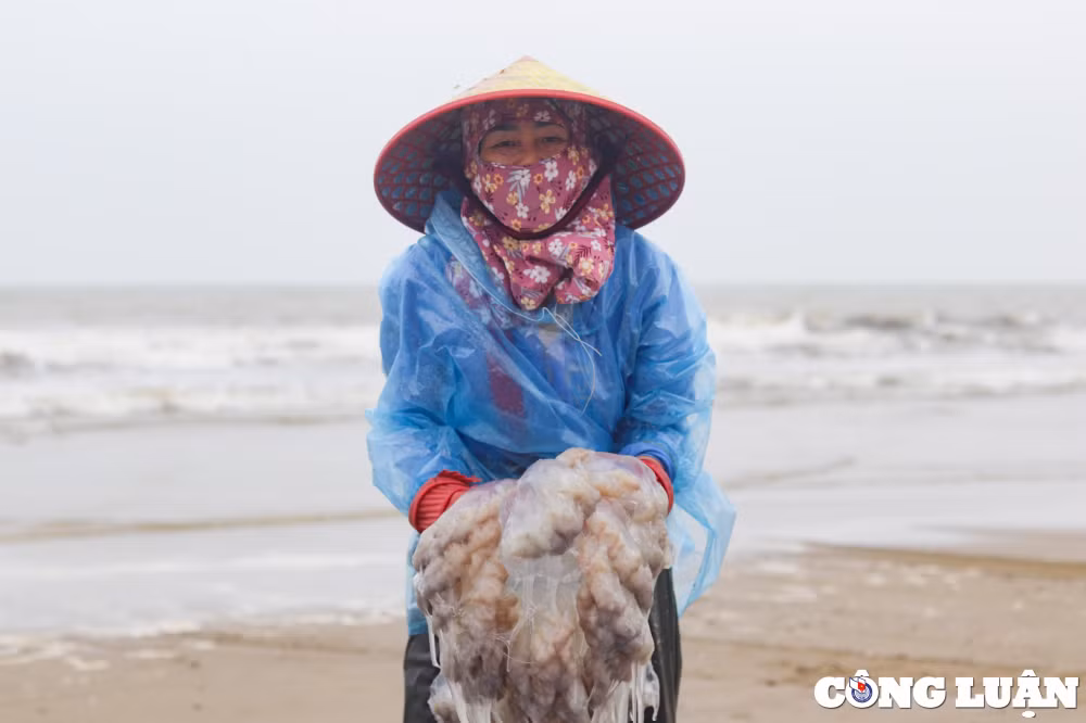 thanh hoa ngu dan phan khoi khi sua bien vao mua duoc gia hinh 5