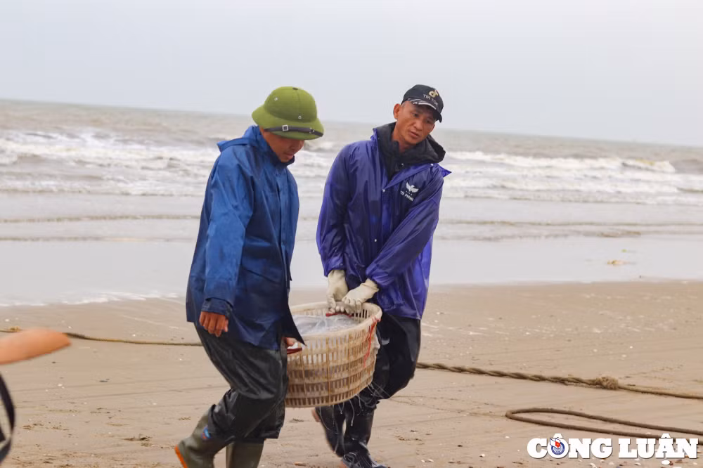 thanh hoa ngu dan phan khoi khi sua bien vao mua duoc gia hinh 4