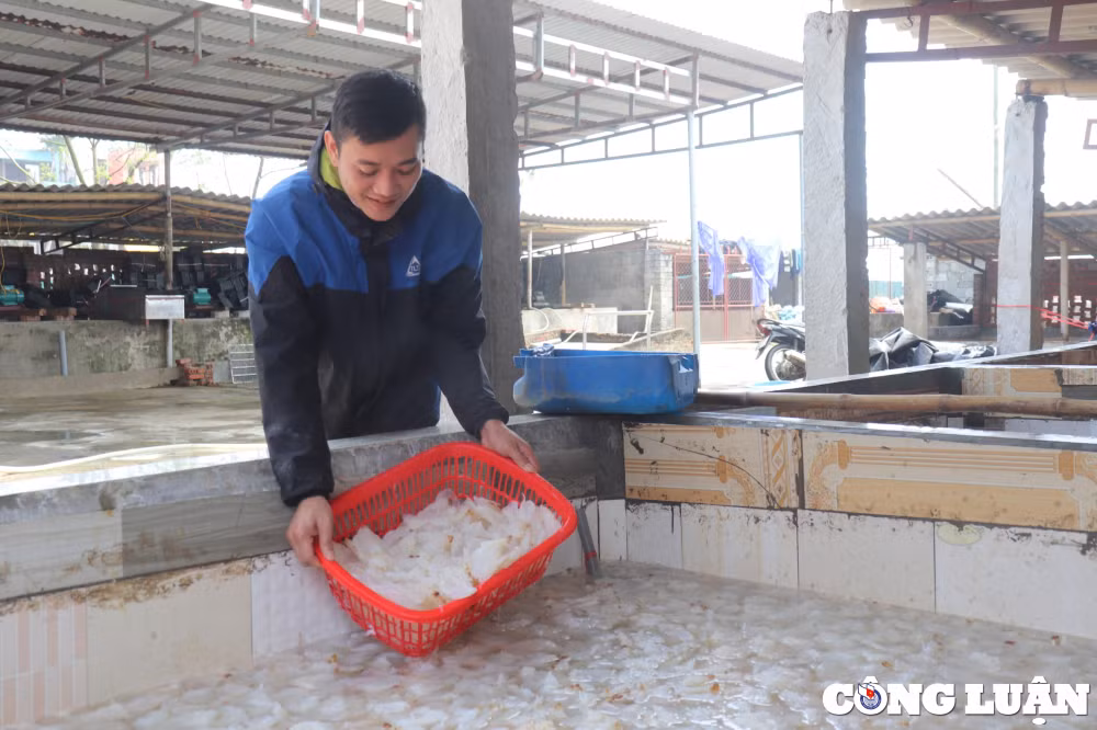 thanh hoa ngu dan phan khoi khi sua bien vao mua duoc gia hinh 8