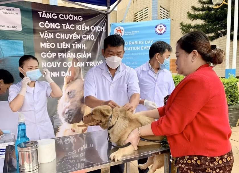 gia lai benh dai dien bien phuc tap nguoi dan tho o tha cho rong khap duong hinh 4