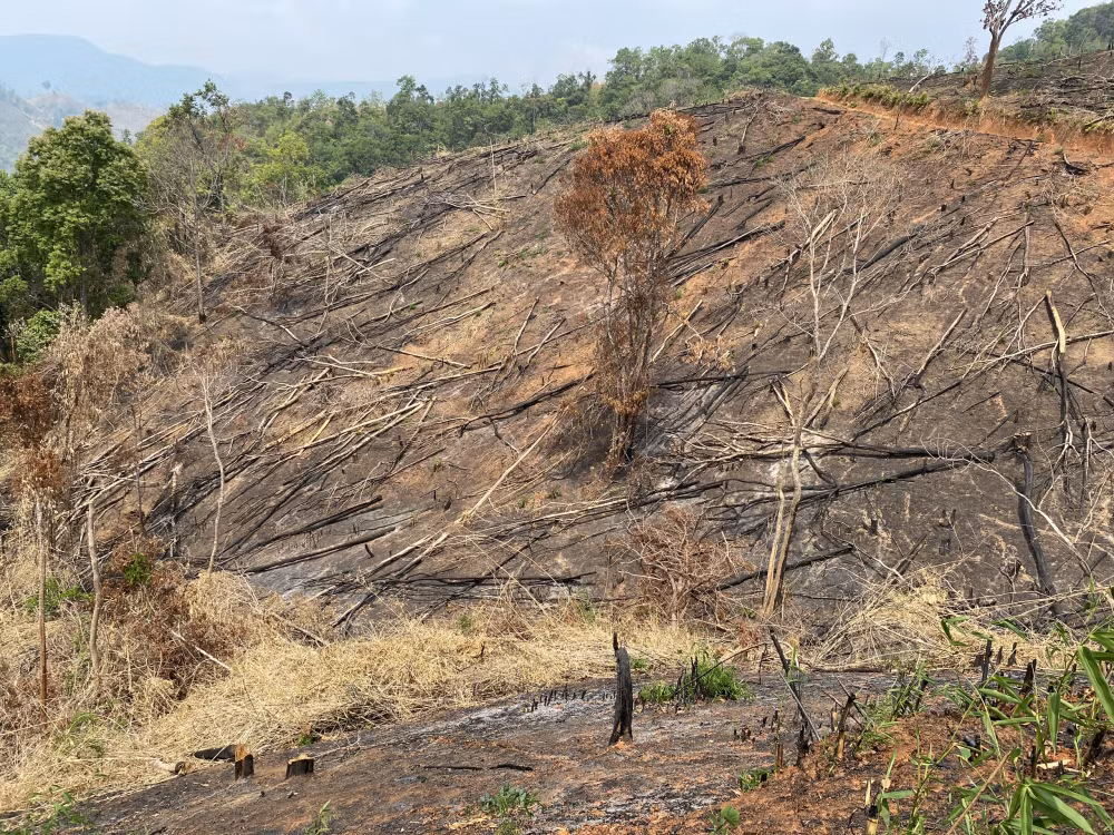 kon tum khoi to bat tam giam nhom doi tuong pha rung o dak ha hinh 1