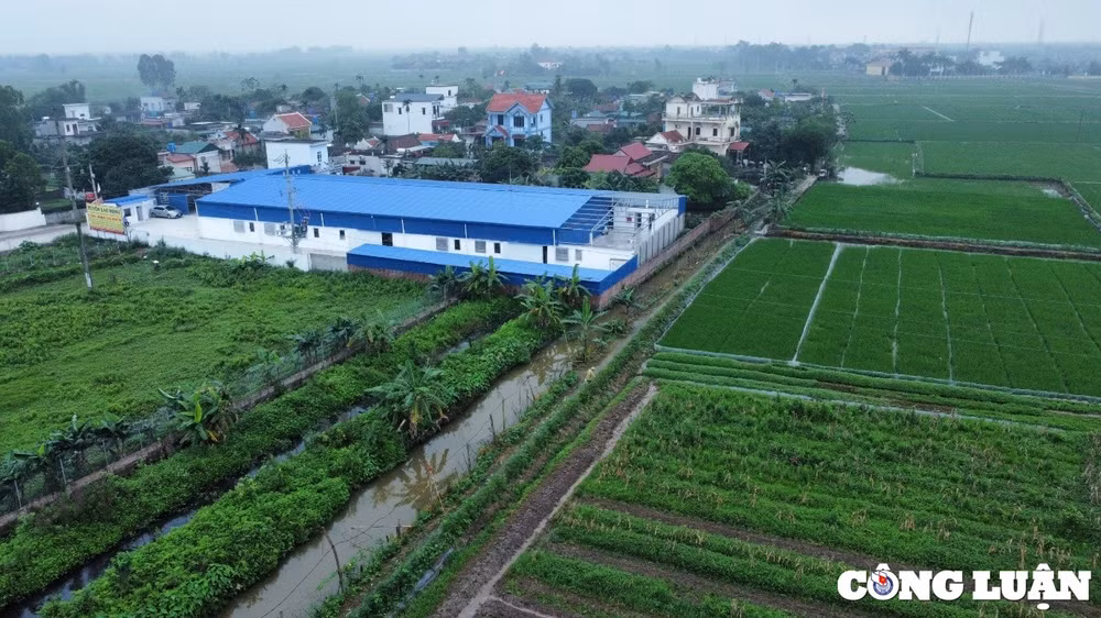 thai thuy thai binh phat hien doanh nghiep xay dung nha xuong hang nghin m2 tren dat nong nghiep hinh 1