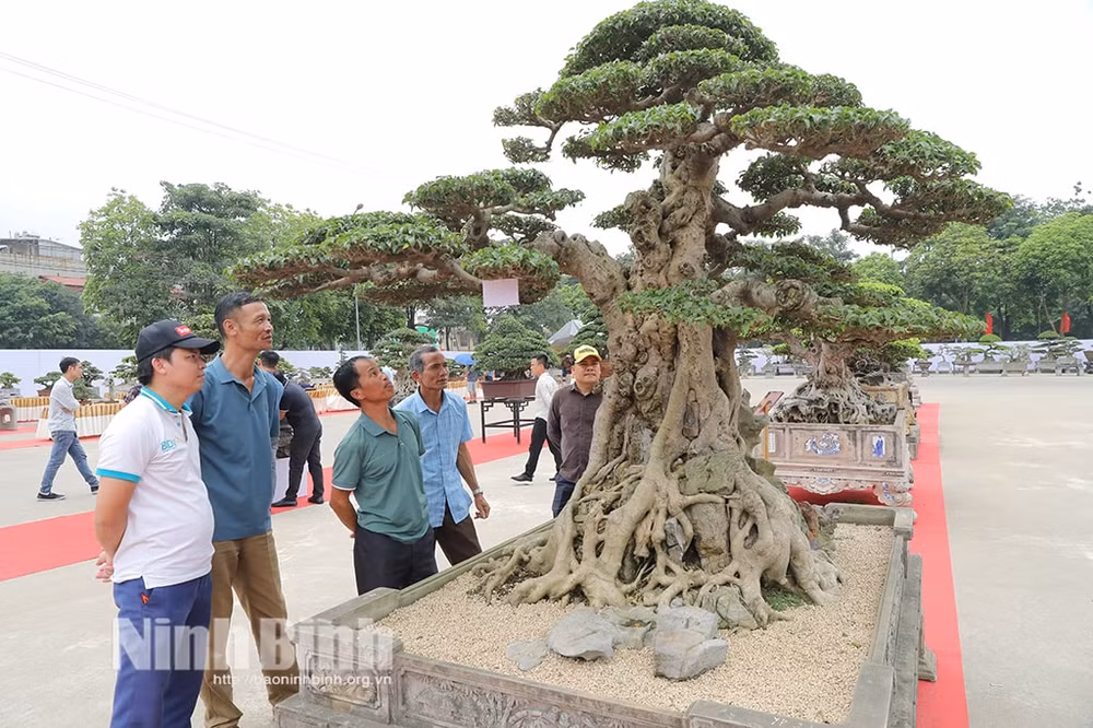 ninh binh khai mac trien lam sinh vat canh cac tinh khu vuc dong bang song hong mo rong nam 2024 hinh 4