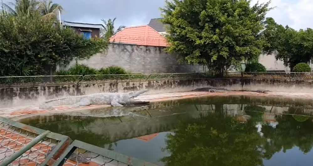 ve long xuyen kham pha vuong quoc ca sau cua mien tay hinh 1