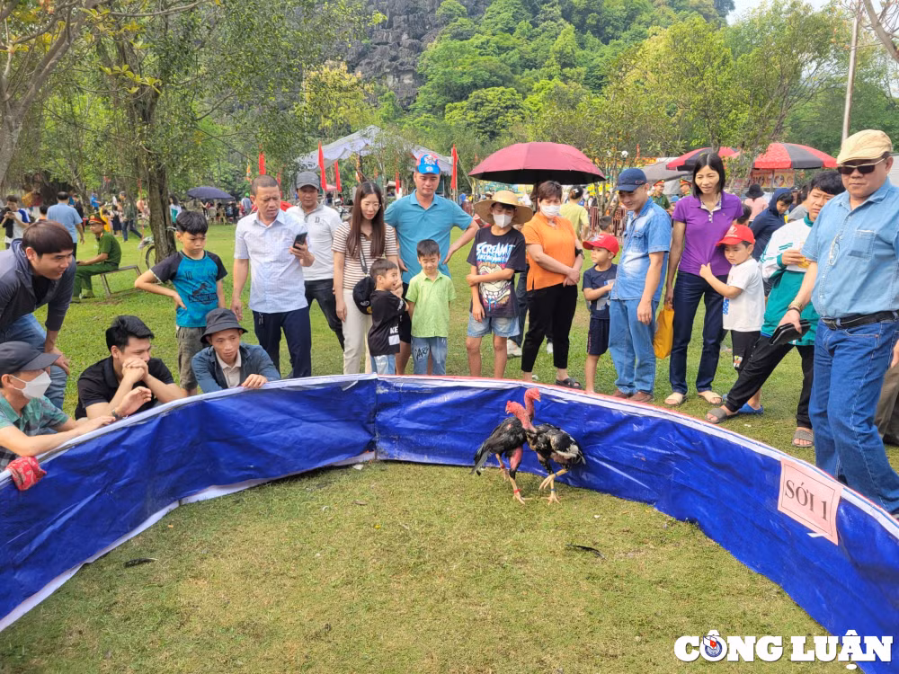 ninh binh hap dan cac hoat dong va tro choi dan gian tai le hoi hoa lu 2024 hinh 11