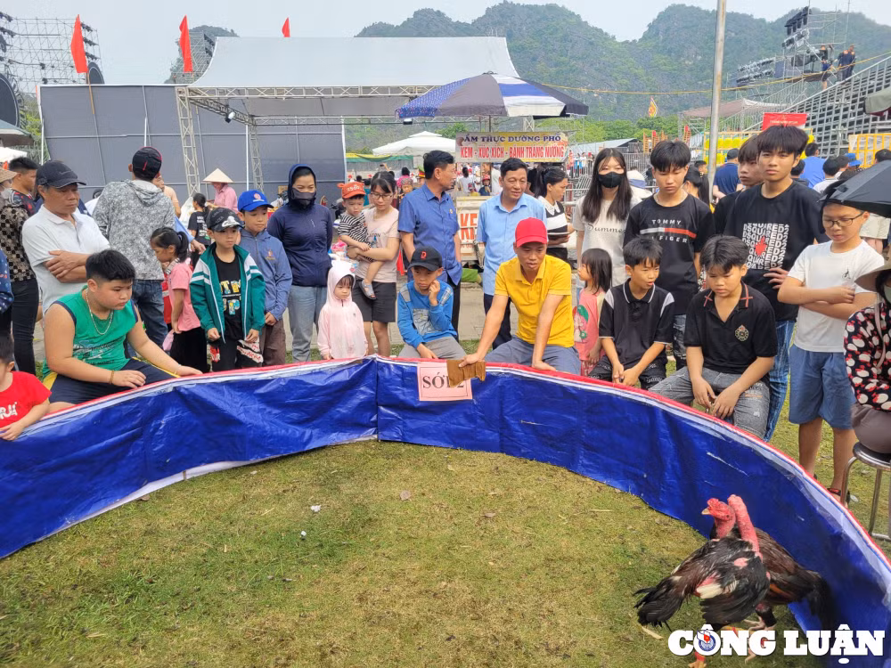 ninh binh hap dan cac hoat dong va tro choi dan gian tai le hoi hoa lu 2024 hinh 12