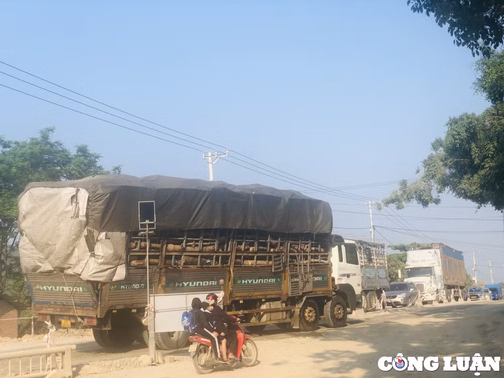 nhieu bat cap tai du an nang cap quoc lo 19 lieu co ve dich kip tien do hinh 9