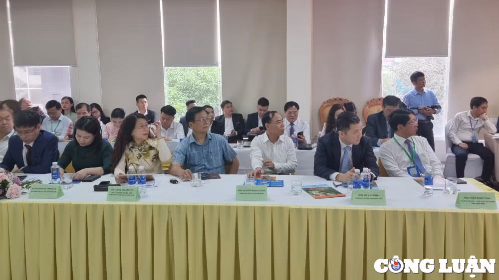 hoi nghi xuc tien quang ba du lich ninh binh thanh hoa nghe an ha tinh mot hanh trinh nhieu trai nghiem hinh 2