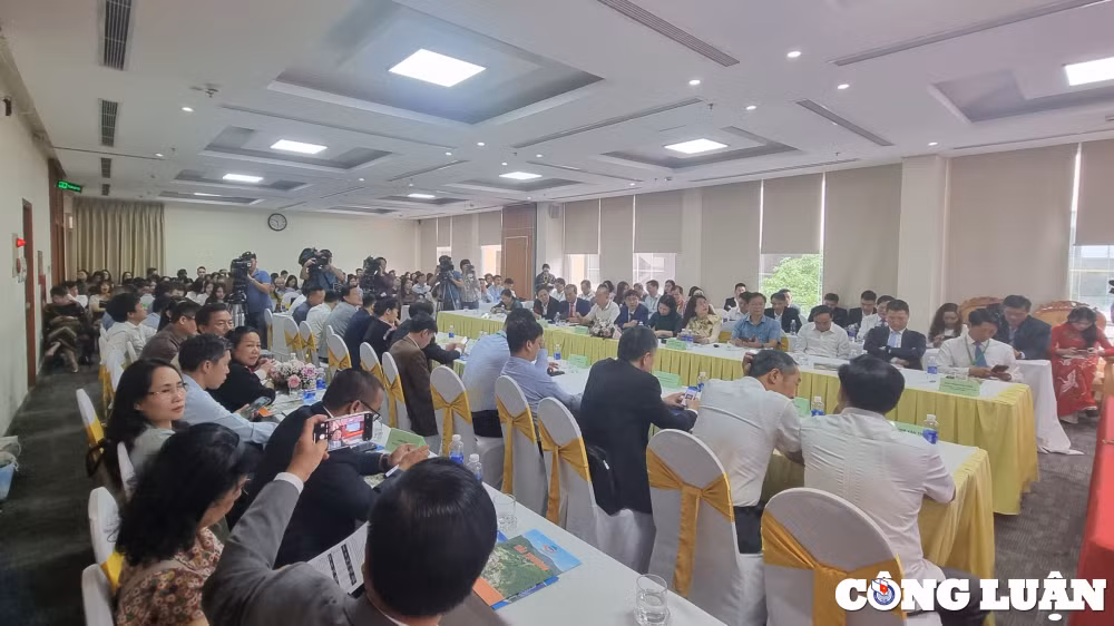 hoi nghi xuc tien quang ba du lich ninh binh thanh hoa nghe an ha tinh mot hanh trinh nhieu trai nghiem hinh 1