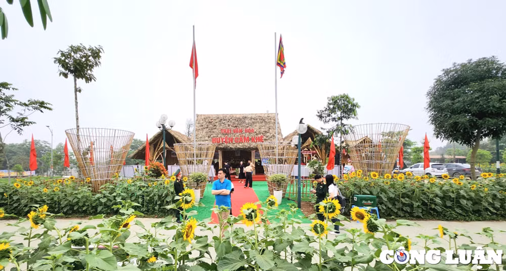 doc dao van hoa dac san dan toc tai hoi trai le hoi den hung 2024 hinh 3