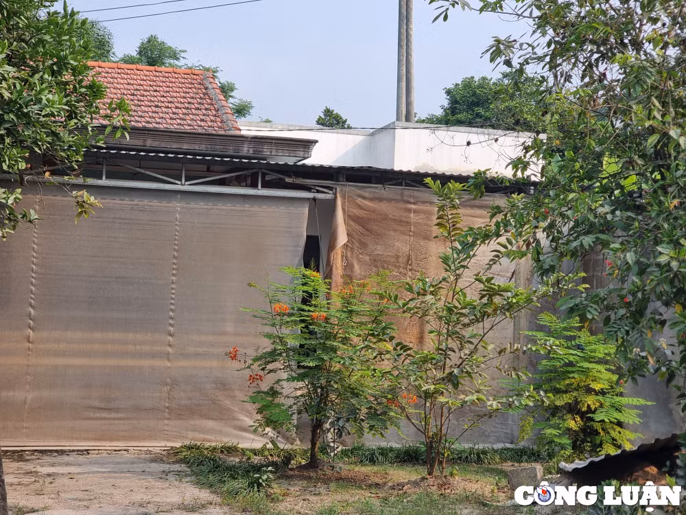 nguoi dan keu troi ve xe qua tai khoi bui va tieng on hinh 8