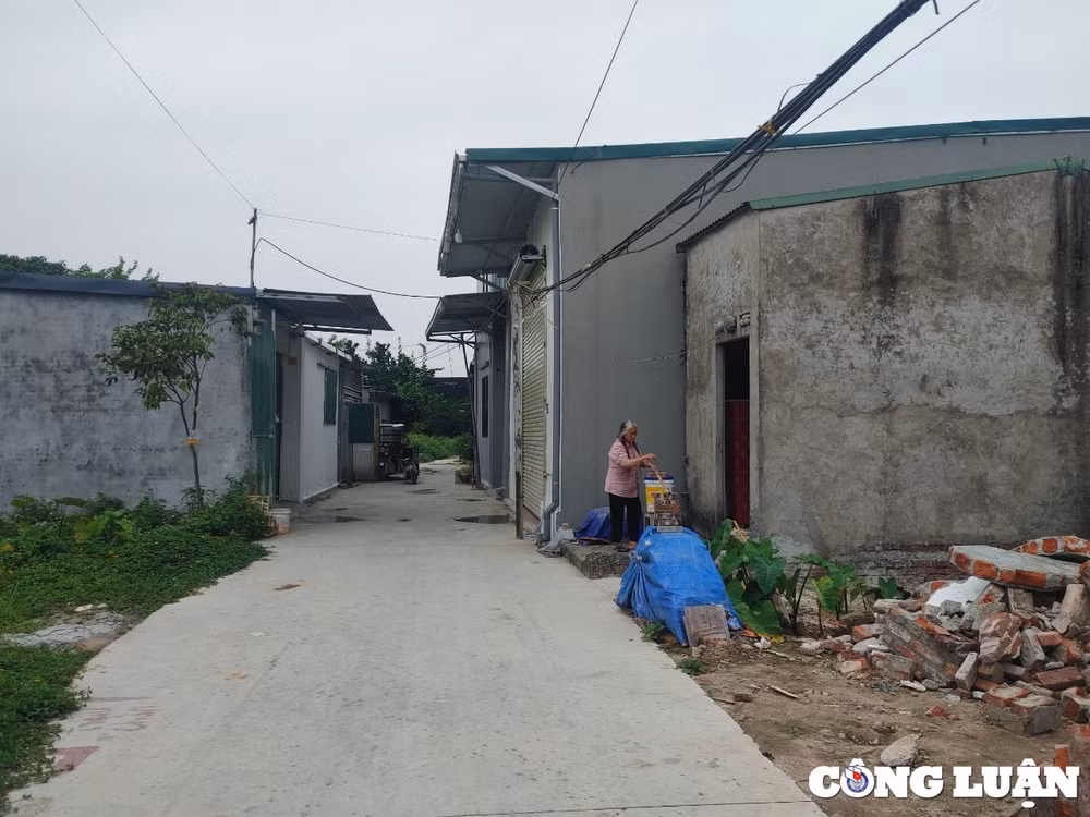 ha noi nhung cum dan cu dua nhau moc tren dat nong nghiep o huyen hoai duc hinh 1