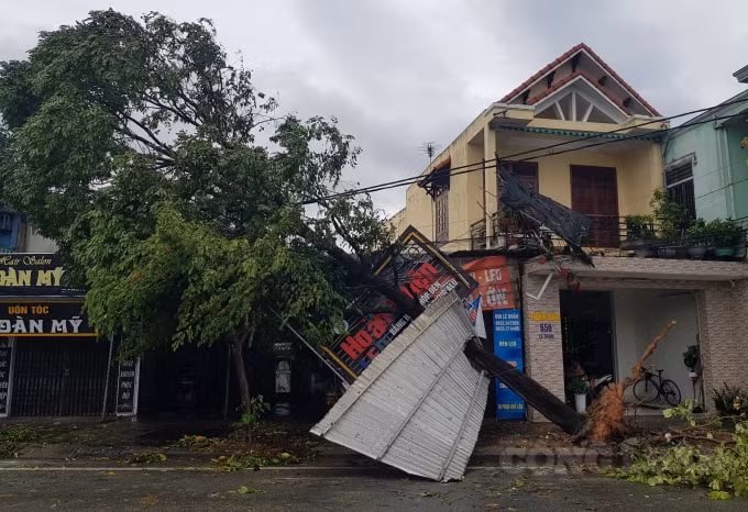 Bảng quảng cáo bị cây xanh ngã chồng lên.