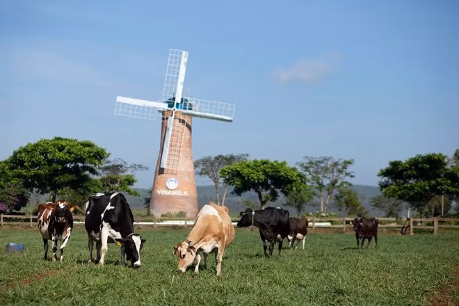 Trang trại Vinamilk Organic Đà Lạt đạt chuẩn hữu cơ châu Âu đầu tiên tại Việt Nam