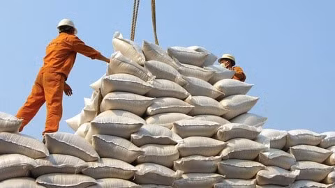 Nhu cầu mua trong nước giảm, giá gạo xuất khẩu tiếp tục ở mức cao. Ảnh: TL.