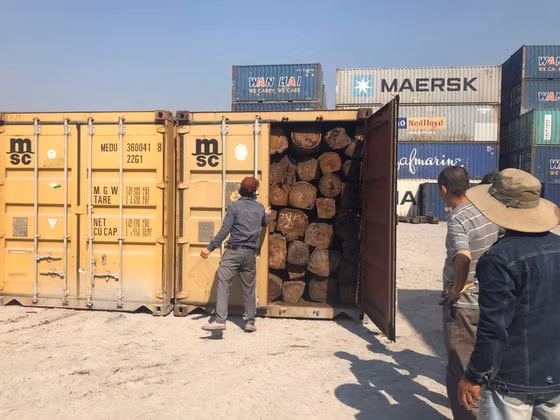 Những container gỗ nghi là giáng hương bị cơ quan chức năng phát hiện.