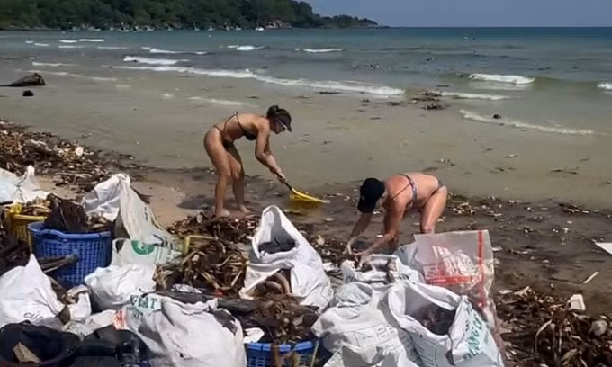 Du khách quốc tế dọn rác tại bãi Khem, Phú Quốc