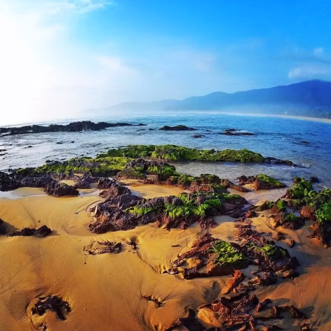 Nguyen Huy Thanh/ https://quynhontourist.com