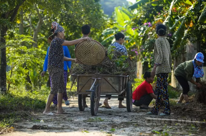 Không khí tất bật nhộn nhịp.