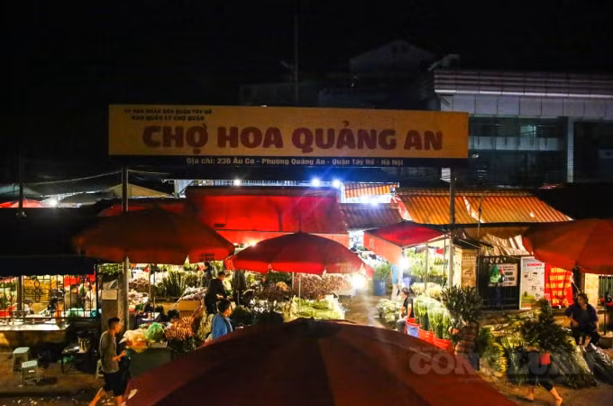 Chợ hoa Quảng An (Tây Hồ, Hà Nội), được cho là chợ hoa lớn nhất miền Bắc họp từ nửa đêm cho tới 4, 5 giờ sáng. Nguồn gốc hoa ở đây chủ yếu từ các vùng nổi tiếng như; Tây Tựu, Từ Liêm, Đông Anh và nhập khẩu từ Trung Quốc.