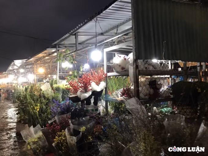 ron rang nhung phien cho hoa tet cuoi nam hinh 7
