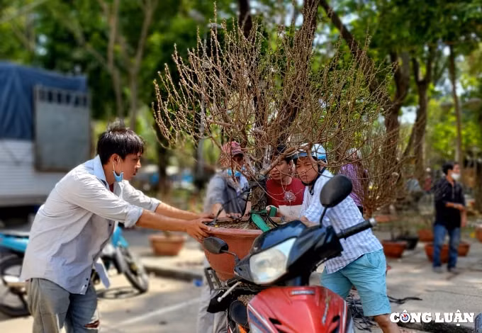 cuoi gio cho hoa xuan nhung goc dao khung bi cua ngang than ban gia 200 ngan dong hinh 8