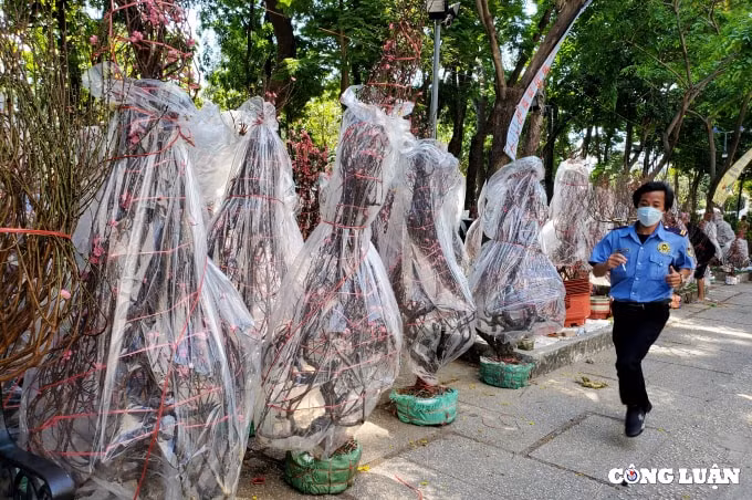 cuoi gio cho hoa xuan nhung goc dao khung bi cua ngang than ban gia 200 ngan dong hinh 6