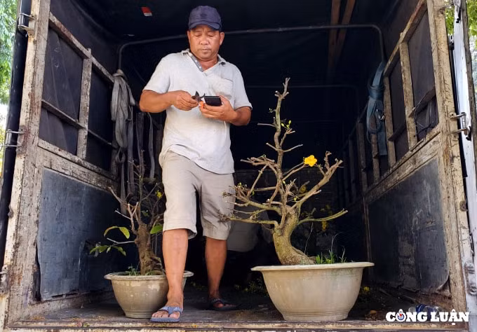 cuoi gio cho hoa xuan nhung goc dao khung bi cua ngang than ban gia 200 ngan dong hinh 4