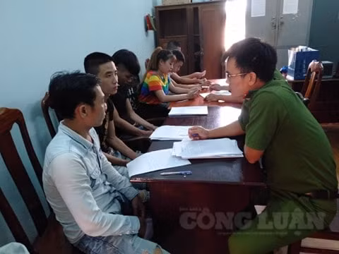 28/31 trường hợp dương tính với ma túy.