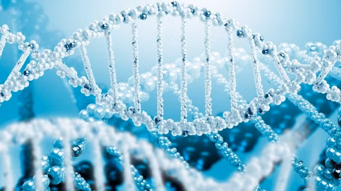 Acetyl Hexapeptide-8 – Ma thuật trẻ hóa làn da