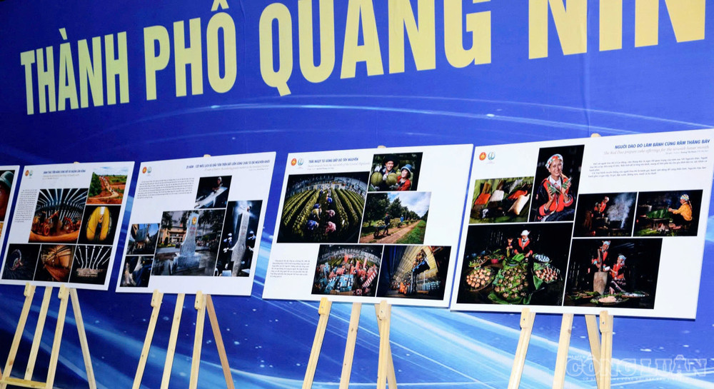clo_br_anh-4821.jpg