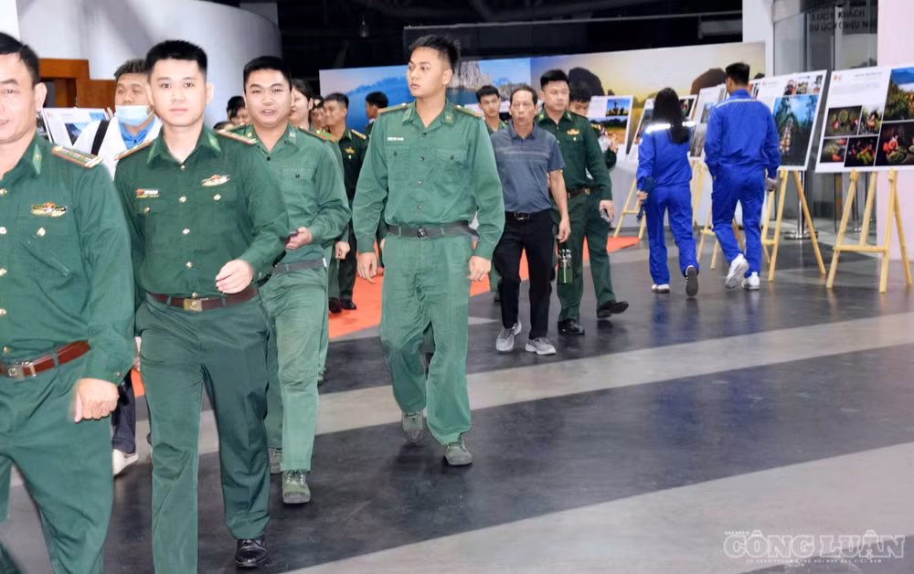 clo_br_anh-5654.jpg