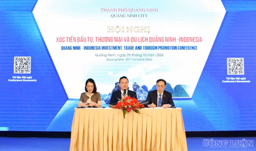 clo_br_anh-4048.jpg