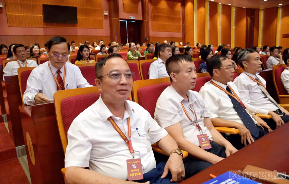 clo_br_anh-17jpg.jpg