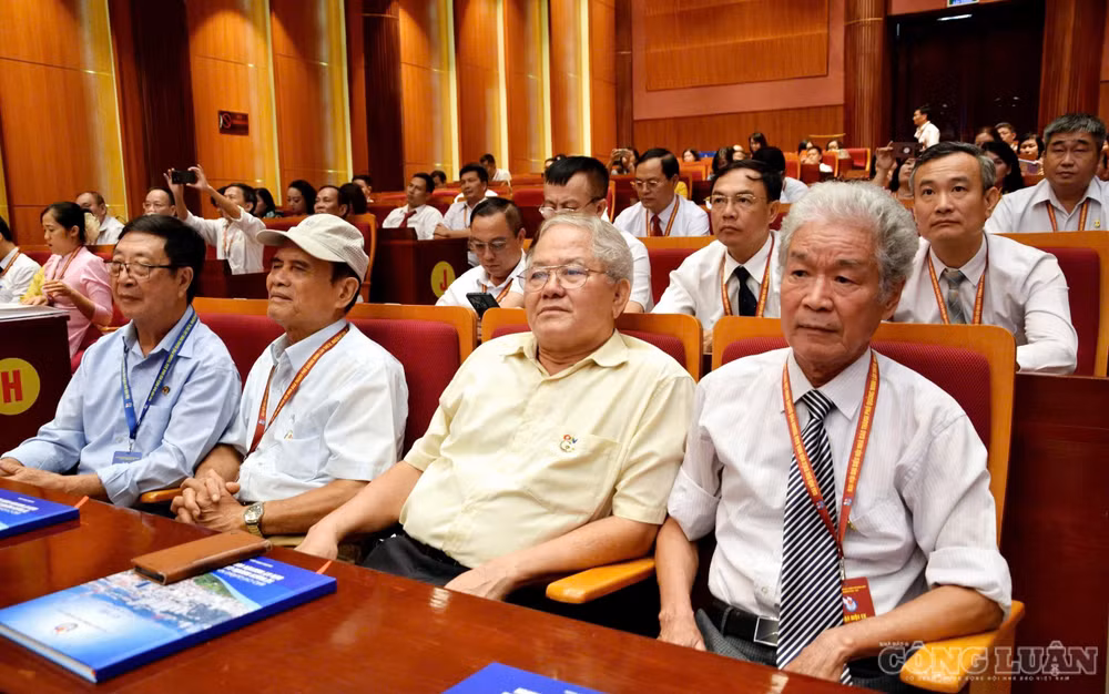 clo_br_anh-4995.jpg