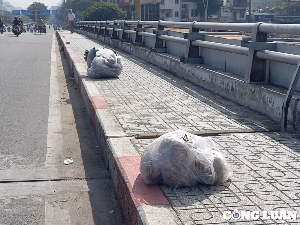 nhung con duong dong kenh dep hoai khong thay het rac o tp hcm hinh 2