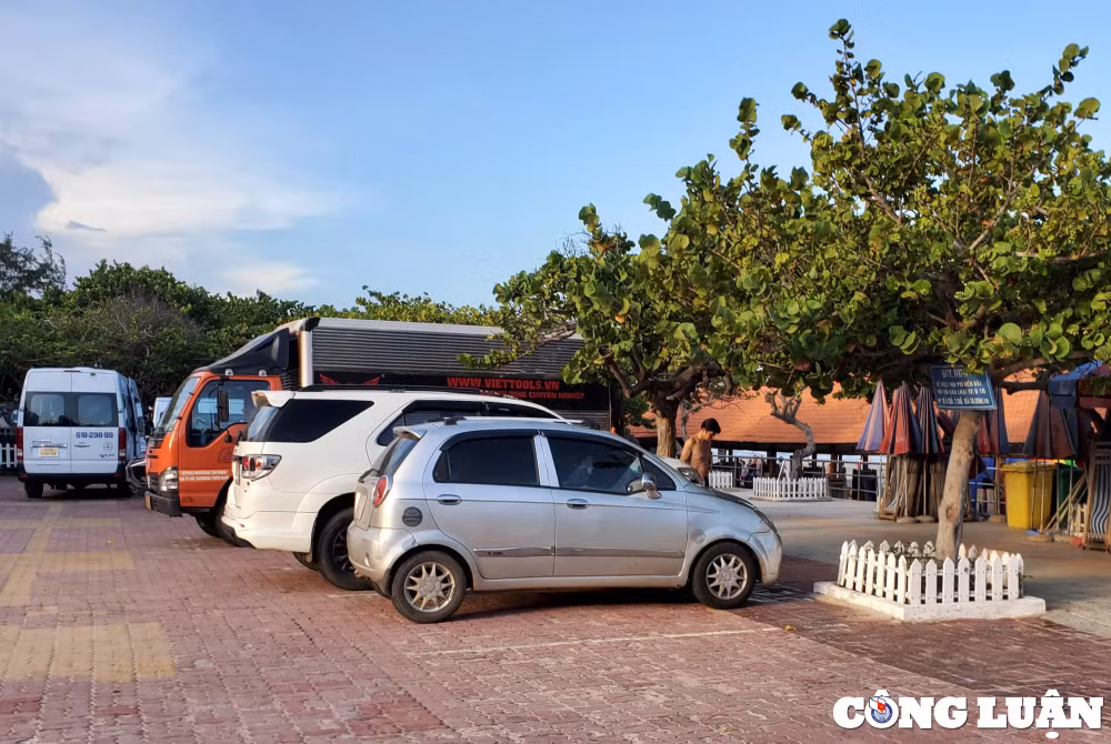 hien trang khu dat vang 28ha bai bien thuy van truoc ngay thu hoi hinh 5