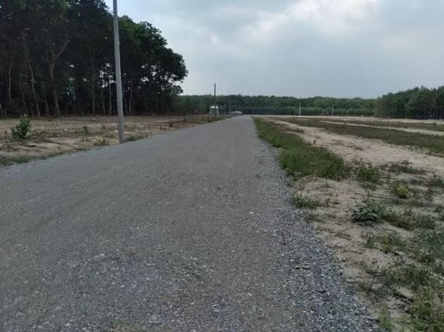 tinh trang vi pham ve dat dai tai dong nai dien bien het suc phuc tap hinh 1