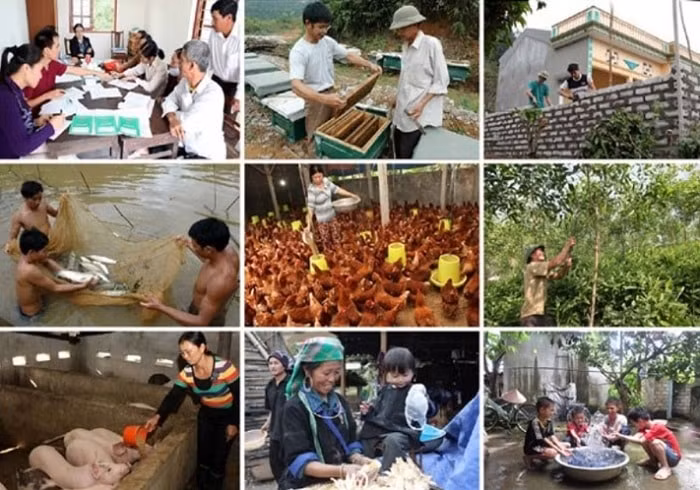 phan dau vi mot viet nam khong con doi ngheo khong ai bi bo lai phia sau hinh 1