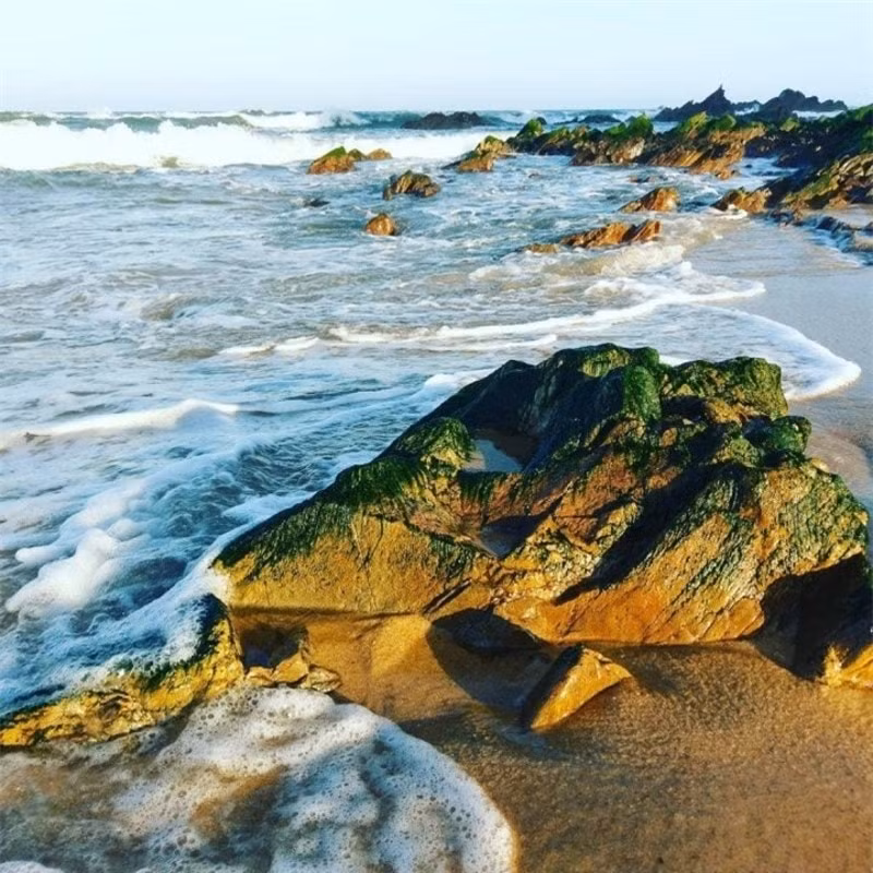 ngam bai bien hoang so day da nhay o quang binh hinh 8