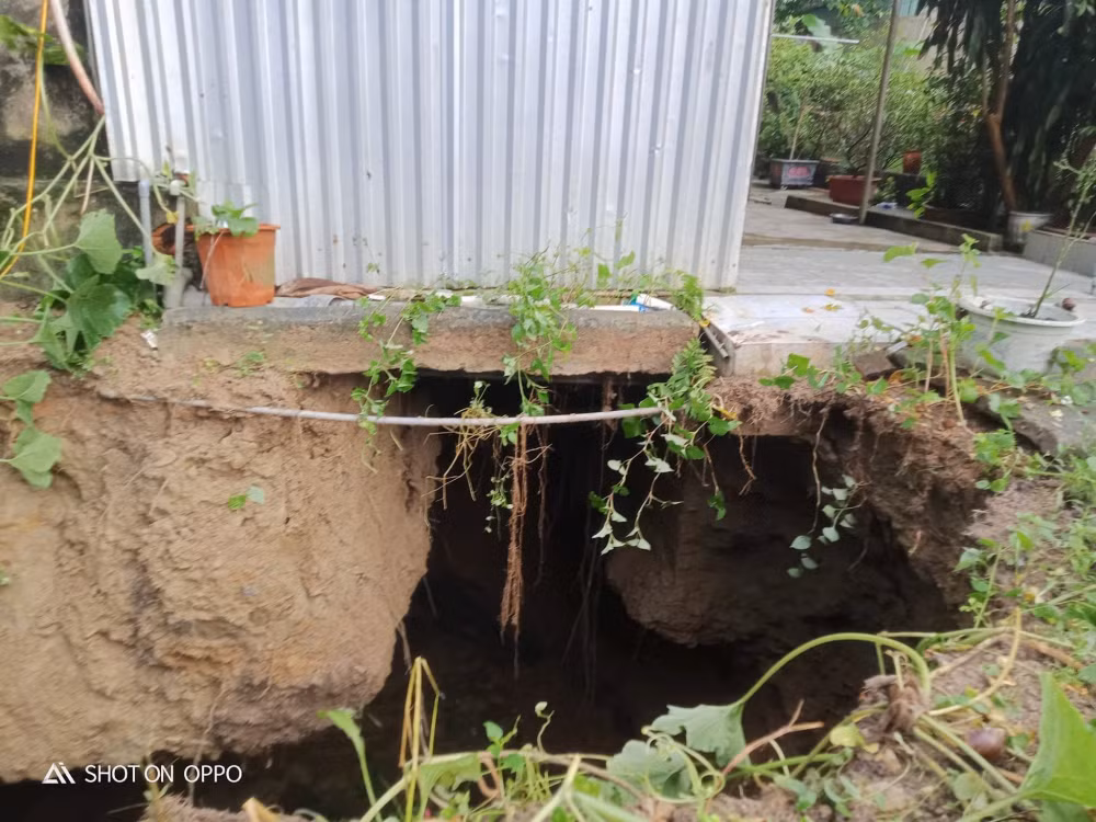 xac dinh nguyen nhan ban dau ho sut lun khung xuat hien hang loat o nghe an hinh 2