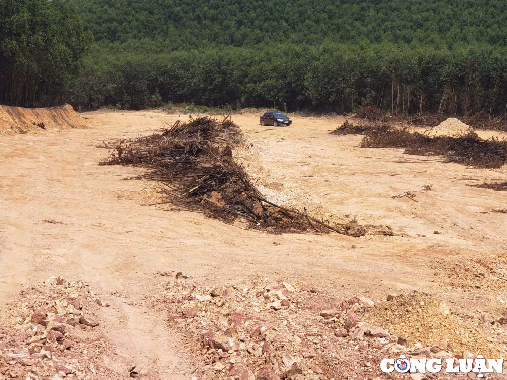 vu tai xe bi hanh hung tai quang tri lap doan kiem tra viec khai thac dat khu mo hinh 2