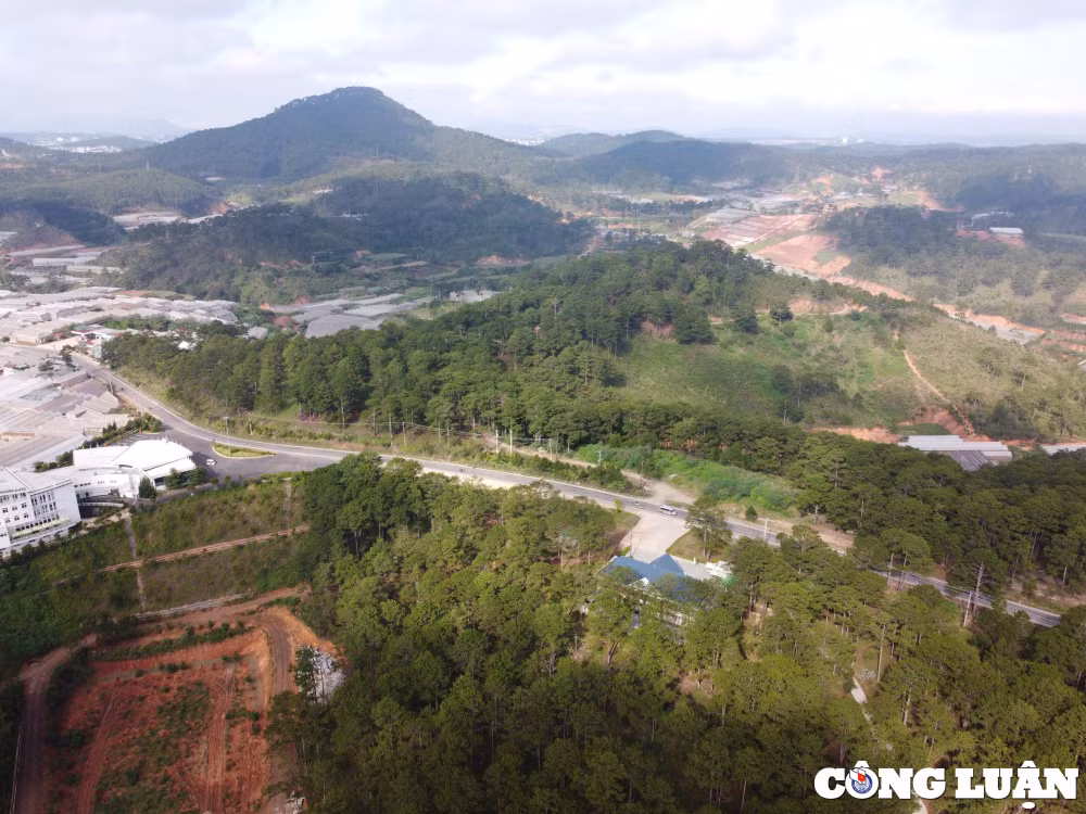 bi thu hoi du an gan 800 ha doanh nghiepkhoi kien tinh lam dong hinh 1